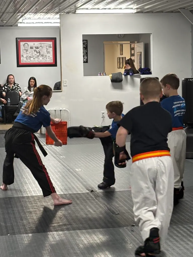 ata-tigers-&-skillz-programs